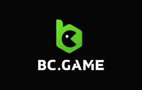 Understanding Hash Game Privacy Policy Your Rights and Protections